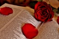 Open-Bible-With-Roses.jpg