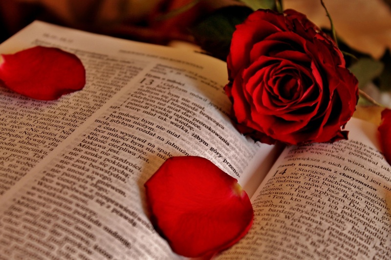 File:Open-Bible-With-Roses.jpg