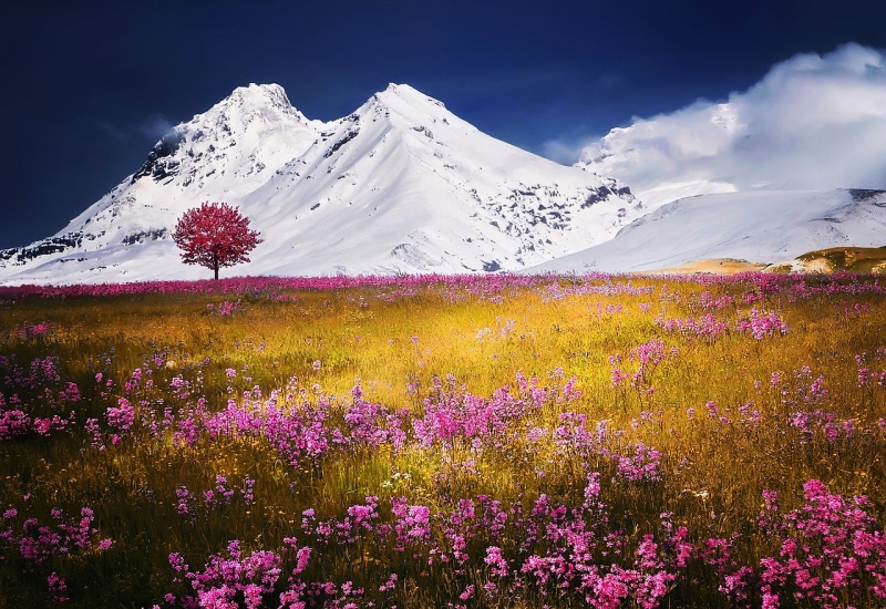 File:Alps.jpg