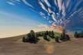 Farmland-Sky-Nature.jpg
